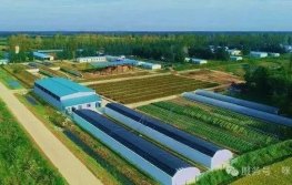 养殖场智能电表改造：开启智慧养殖新篇章